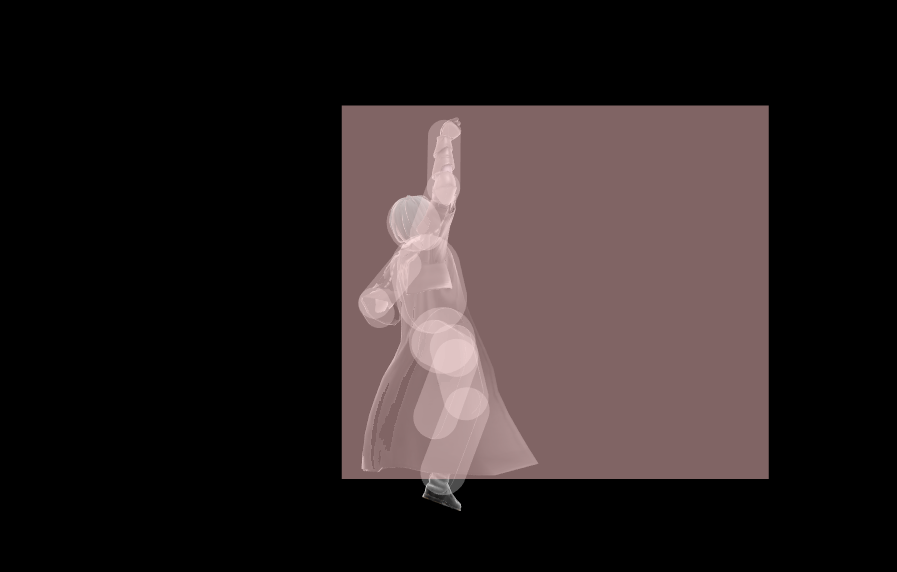 Hitbox Image